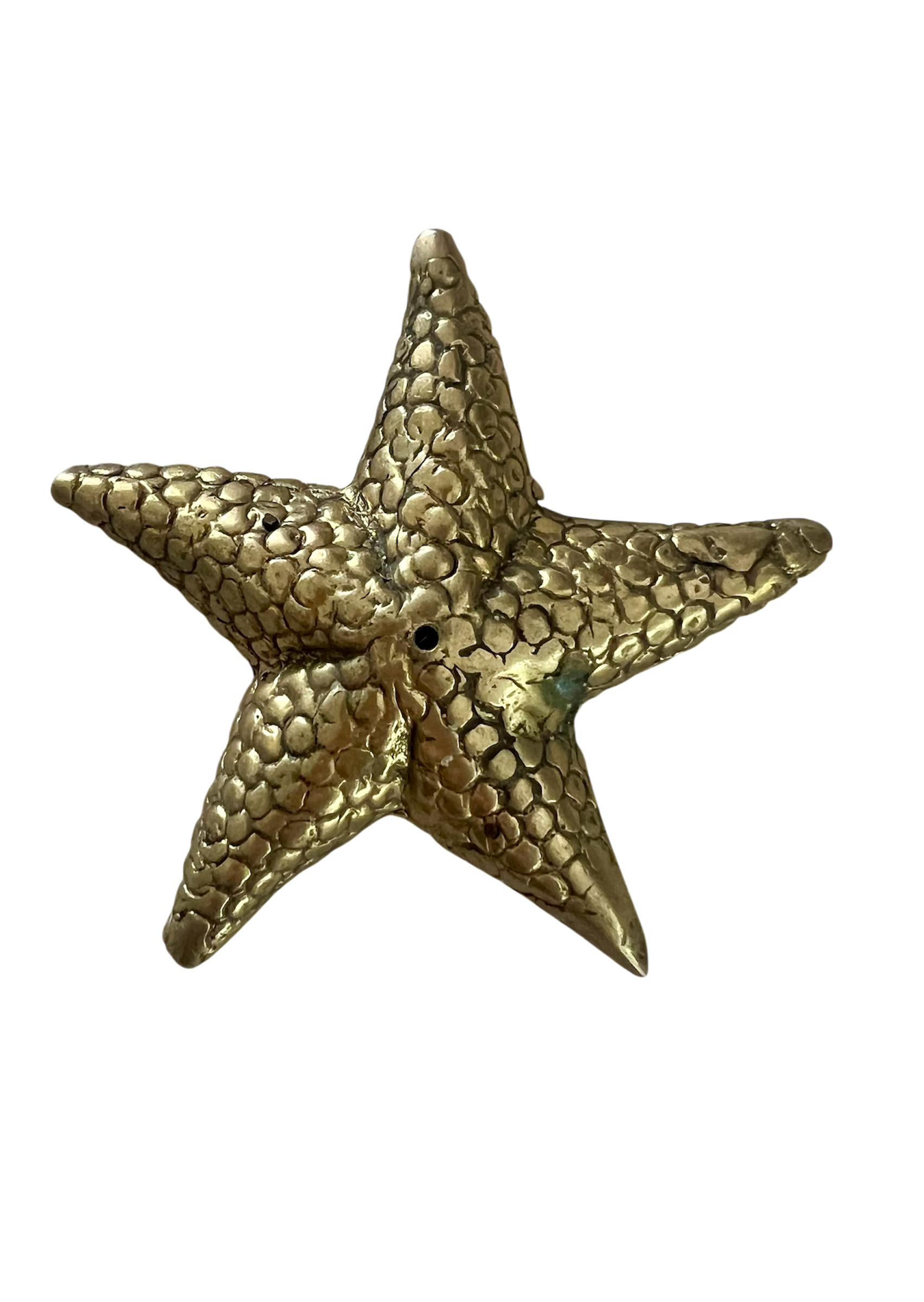 Starfish Incense Holder