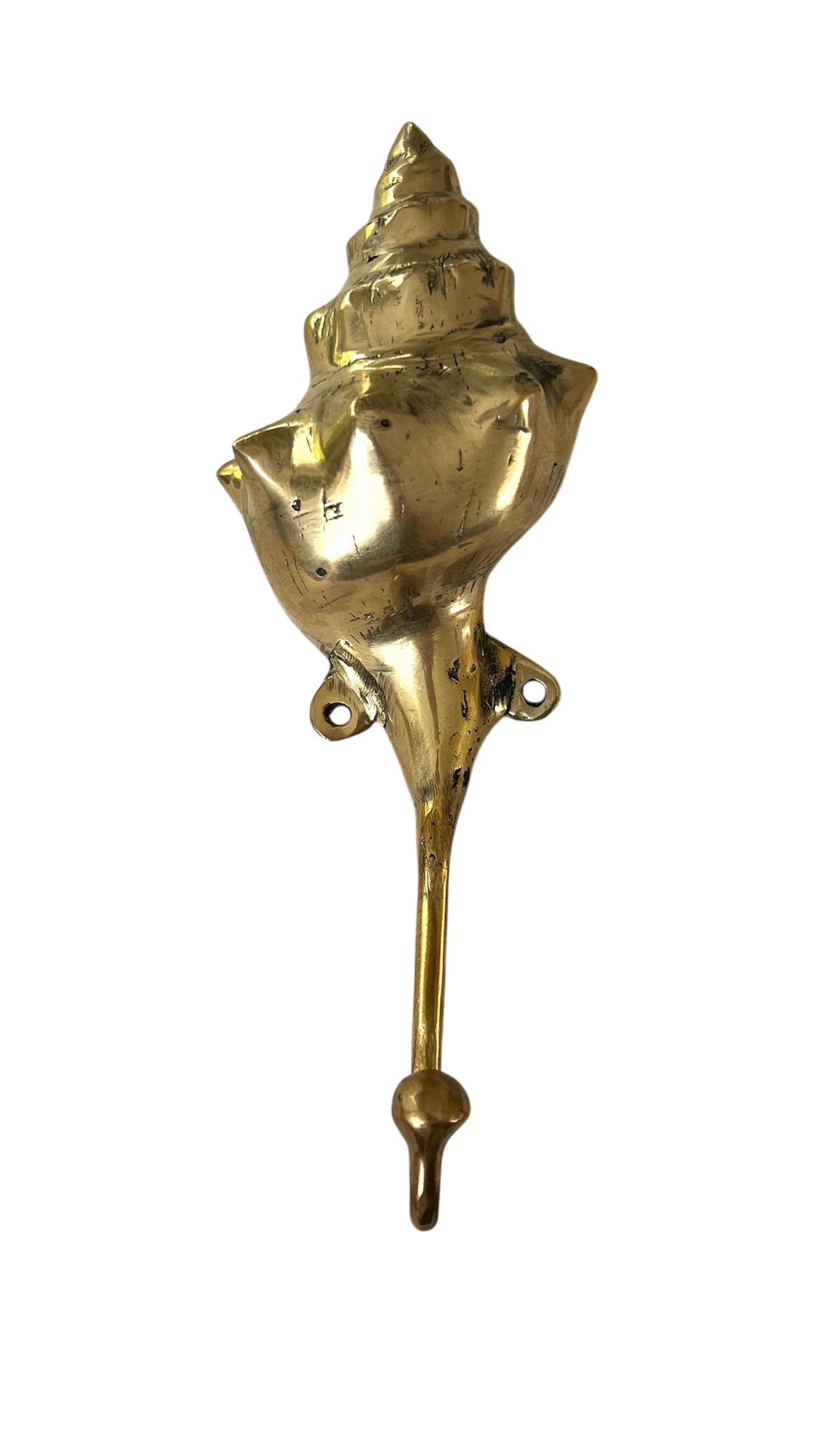 Conch Shell Wall Hook